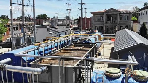 守護綠色家園——建設(shè)工程施工的生態(tài)實踐